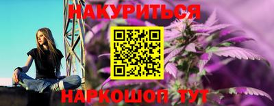 ALPHA PVP Гай