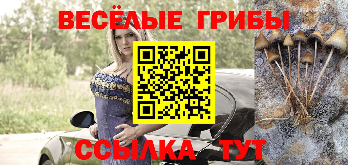 Псилоцибиновые грибы мухоморы Курчатов